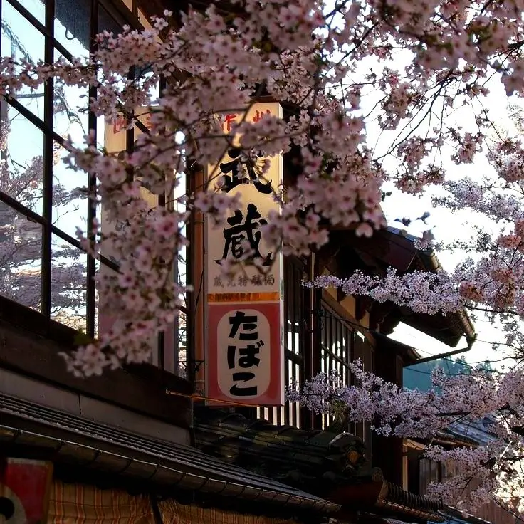 oignon1209의 유메노카타 유곽