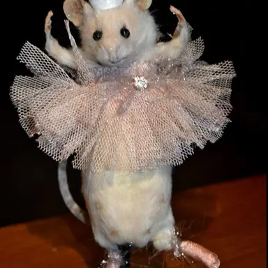 Profile image of Ian