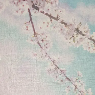 Profile image of 이봄