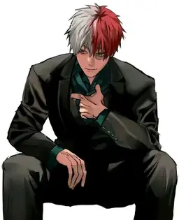 Profile image of Shoto Todoroki