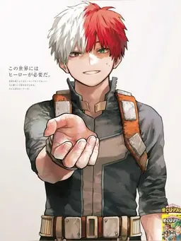 Profile image of Shoto Todoroki