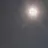 로이