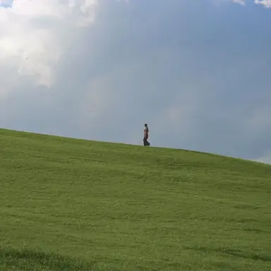 Profile image of 백지헌