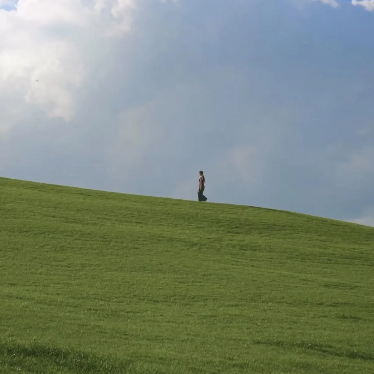 SunnyCoati9585의 백지헌