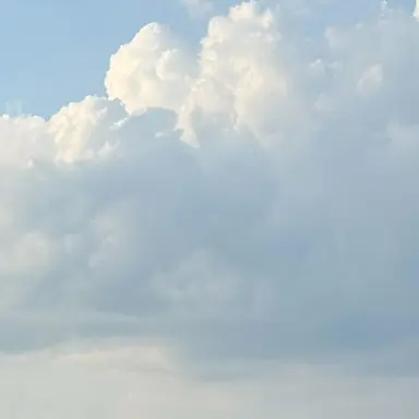 Profile image of テサン