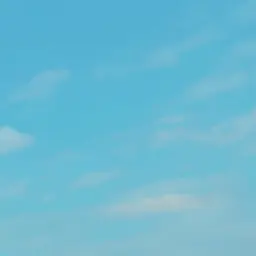 Profile image of 이하얀