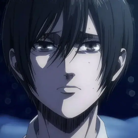 PainedCloud6404의 미카사