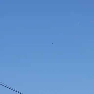 Profile image of 아명