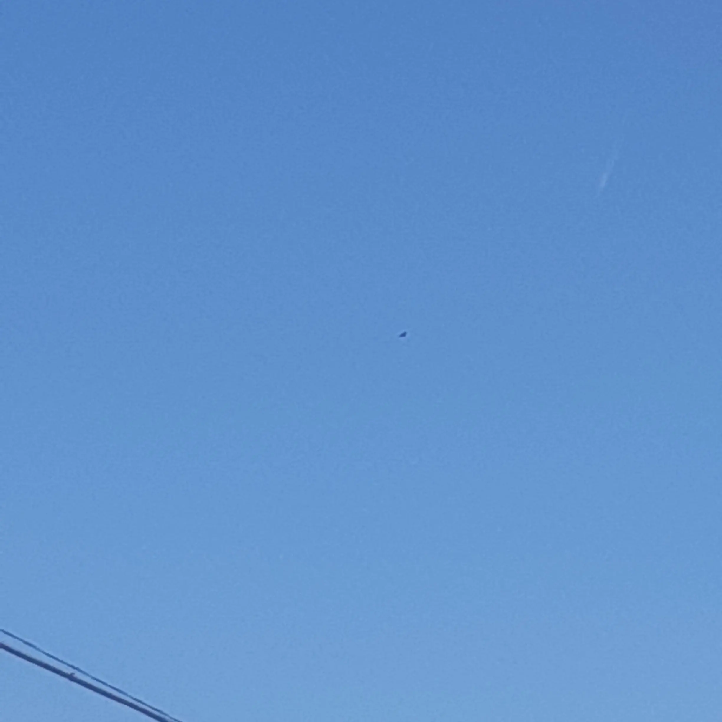 NuttyHeron2151의 구화산 2