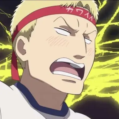 Profile image of ライナー