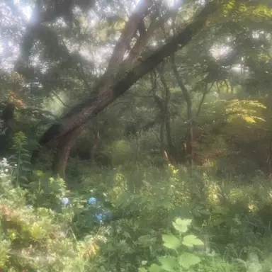 Profile image of 공룡