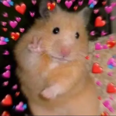 Profile image of 서은