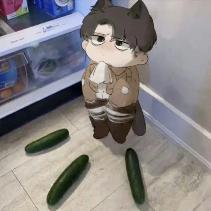 리바이 아커만