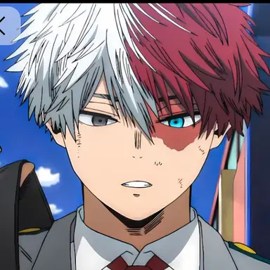 Profile image of Shoto Todoroki