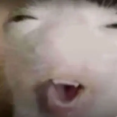 Profile image of Shi-mai