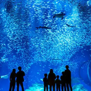 CleanLane4603의 水族館🐙🦈