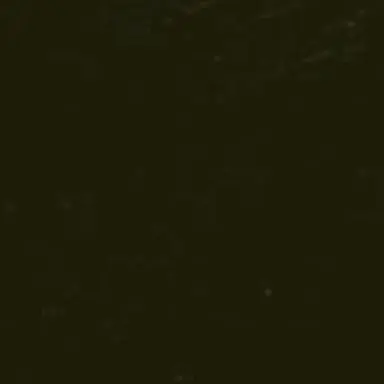 Profile image of 김민준
