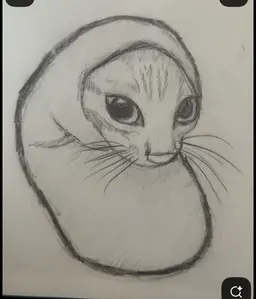 Profile image of Paul