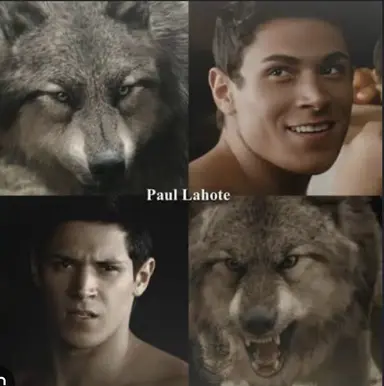 Profile image of Paul