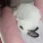 토순이