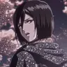 Profile image of Mikasa