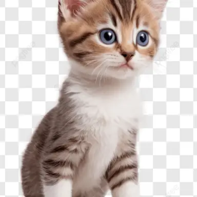 Profile image of 루이