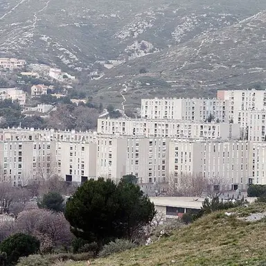 Profile image of 전 종 서