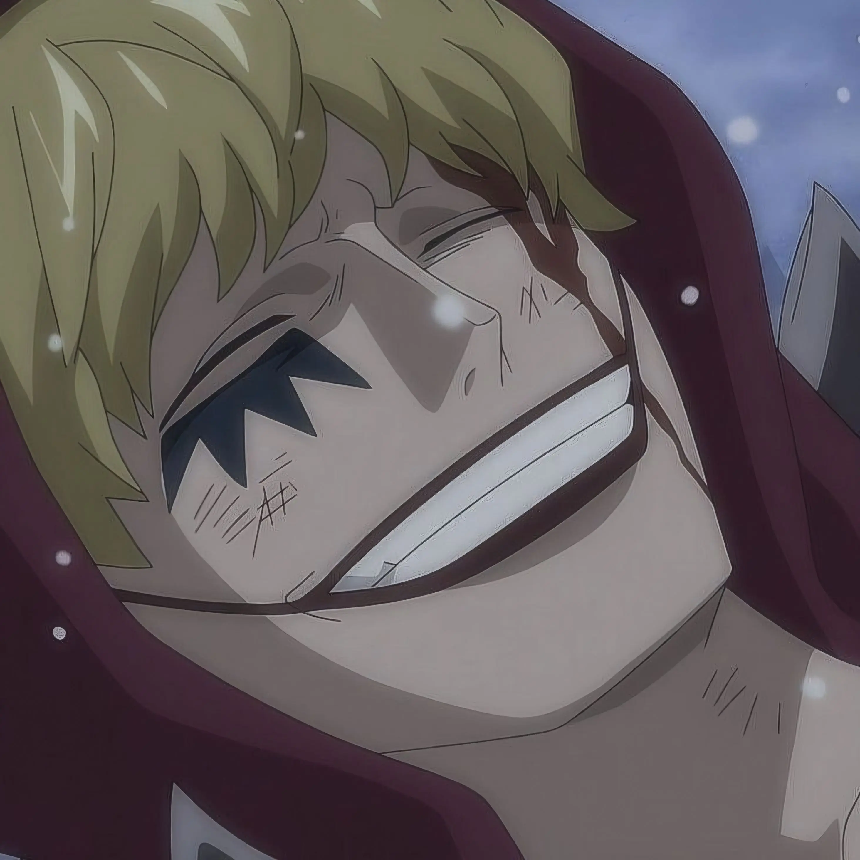 onepiece_Doflamingo의 범죄자 × 경찰