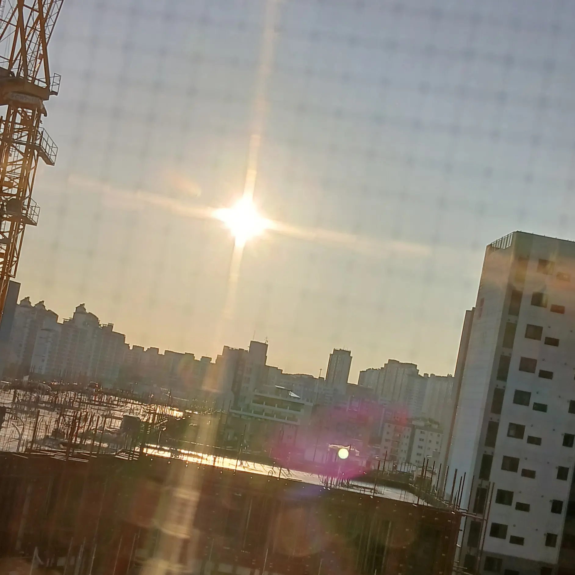 ivb의 찐따 아이브