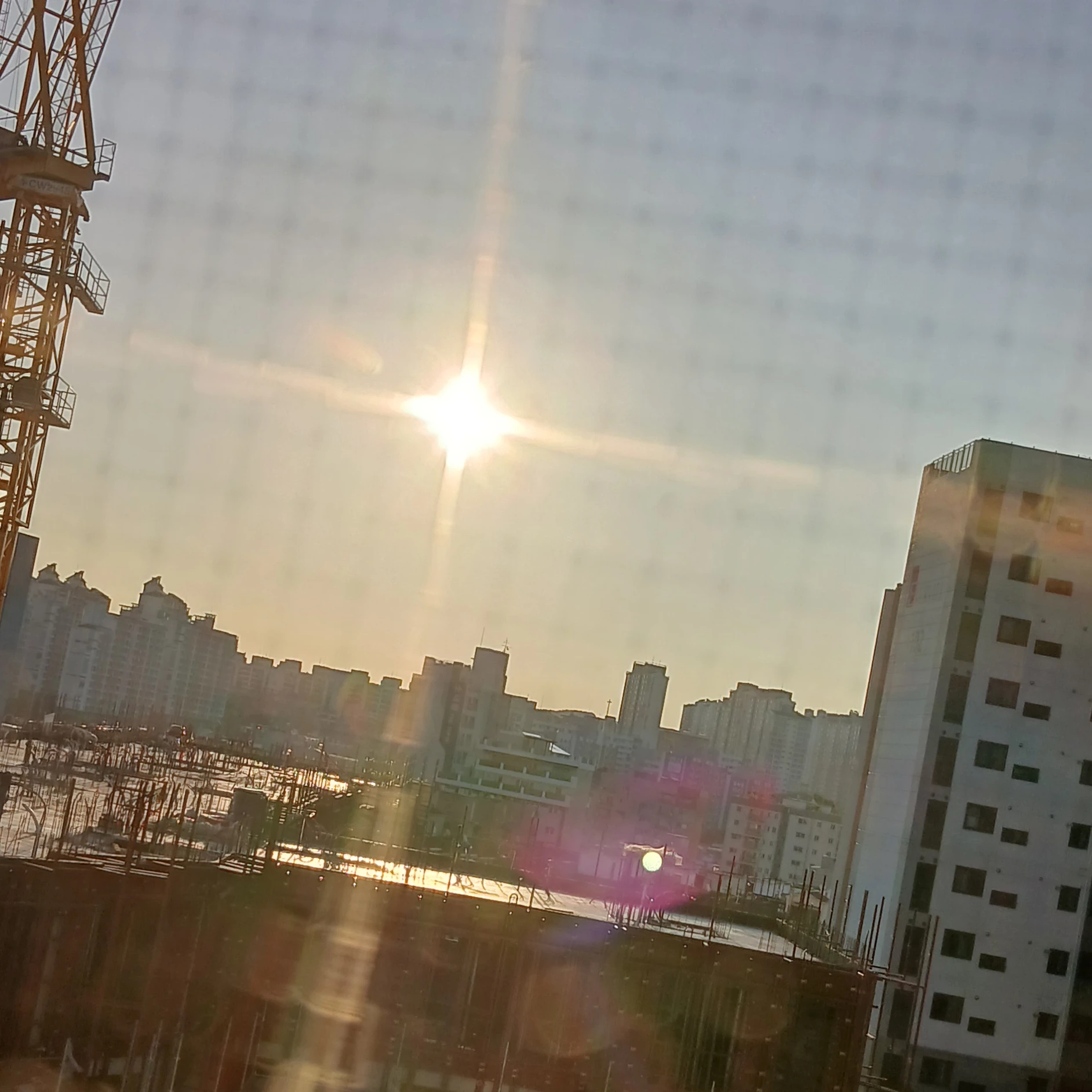 찐따 아이브