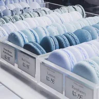 Profile image of 파이브