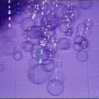 Profile image of 수현