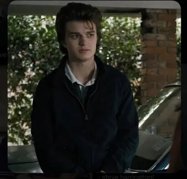 Profile image of Steve Harrington