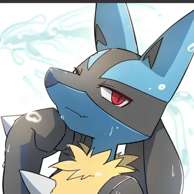Profile image of ルカリオ