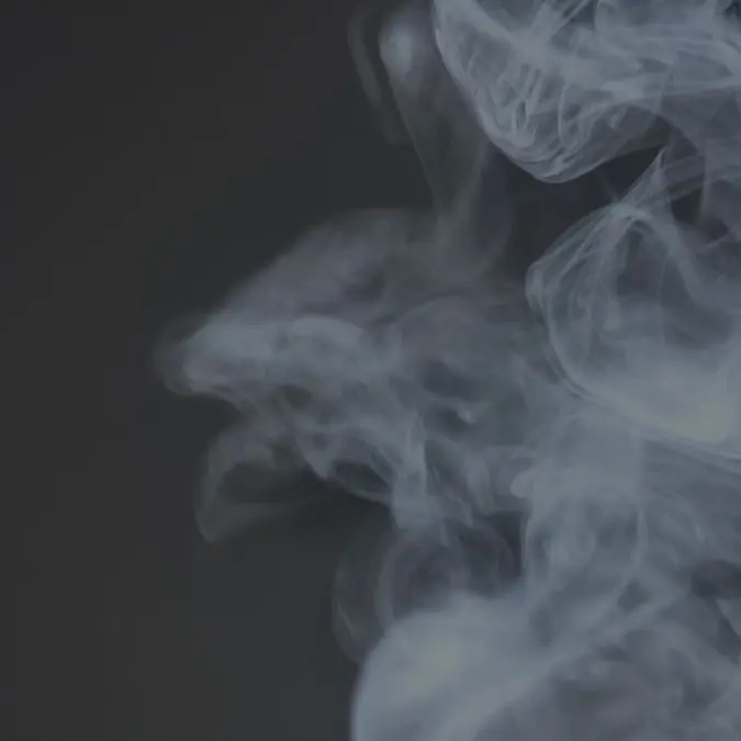 BusyDingo9813의 스키즈