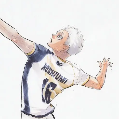 Hosimiyarei1195의 星海光来