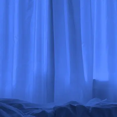 Profile image of 若井