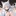 リース