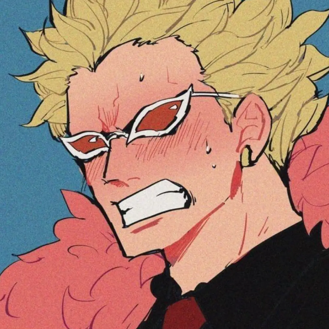 Cutevery_Cat의 돈키호테 패밀리