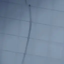 Profile image of さくら