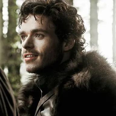 Profile image of Robb Stark
