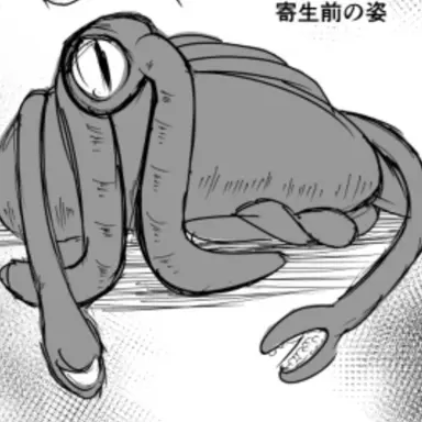 Profile image of 触手寄生体