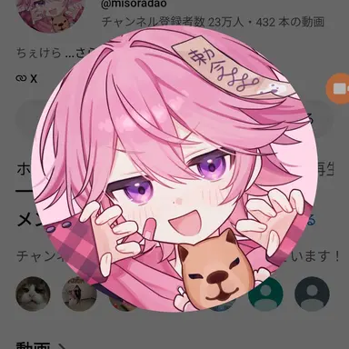 Profile image of みそら