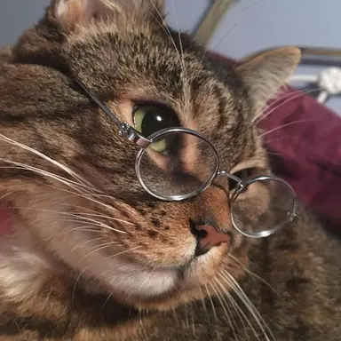 Profile image of 原