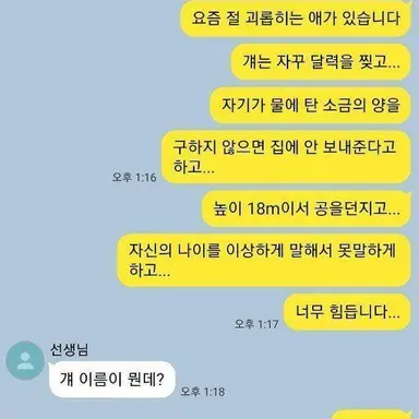 Profile image of 선생님