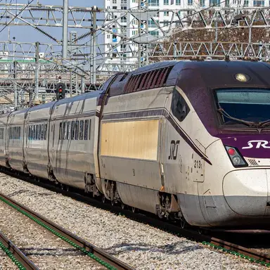 Profile image of SRT