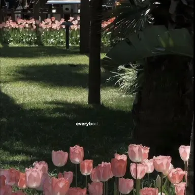 Profile image of ㅇㅈ