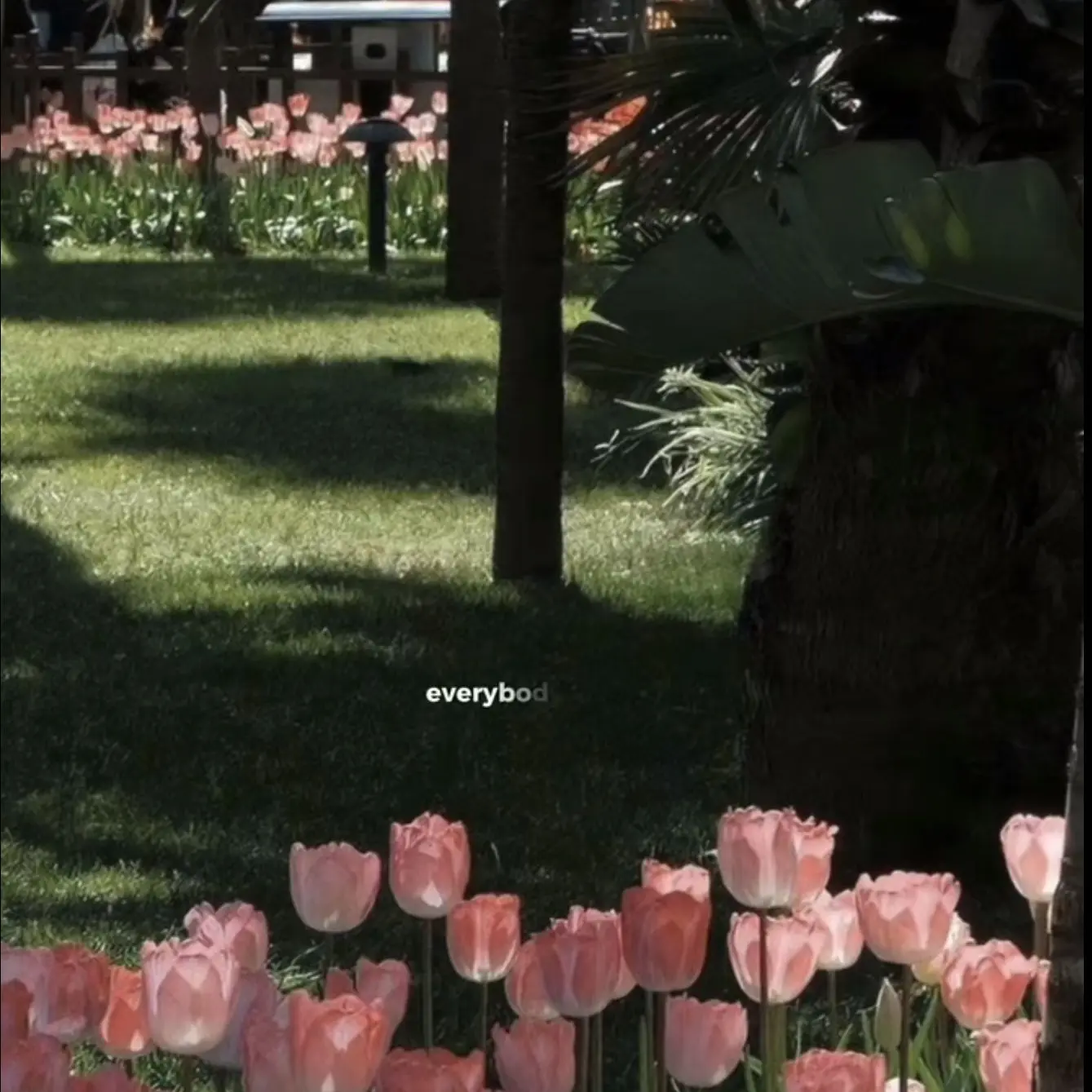 PastBoas4129의 여우인 에버랜드 직원