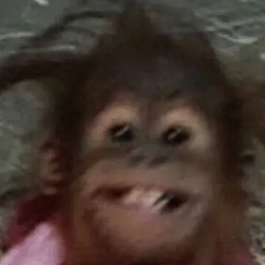 Profile image of 요자