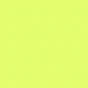 Profile image of 伊波ライ